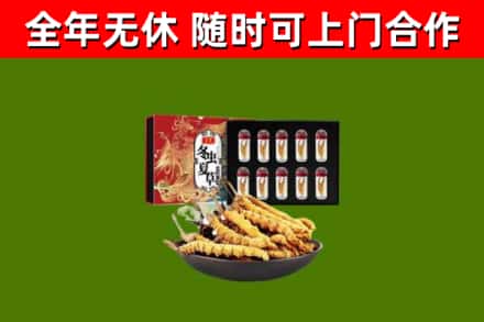 确山县回收冬虫夏草价格